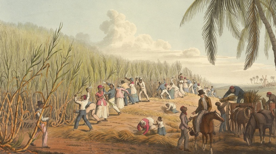 Sejarah Perbudakan di Haiti Sebelum Revolusi